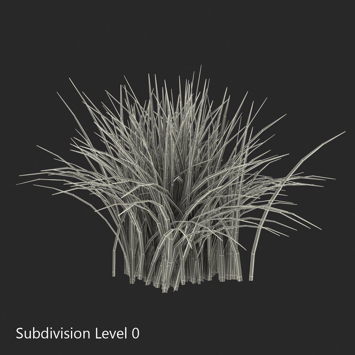 Grass 3D model