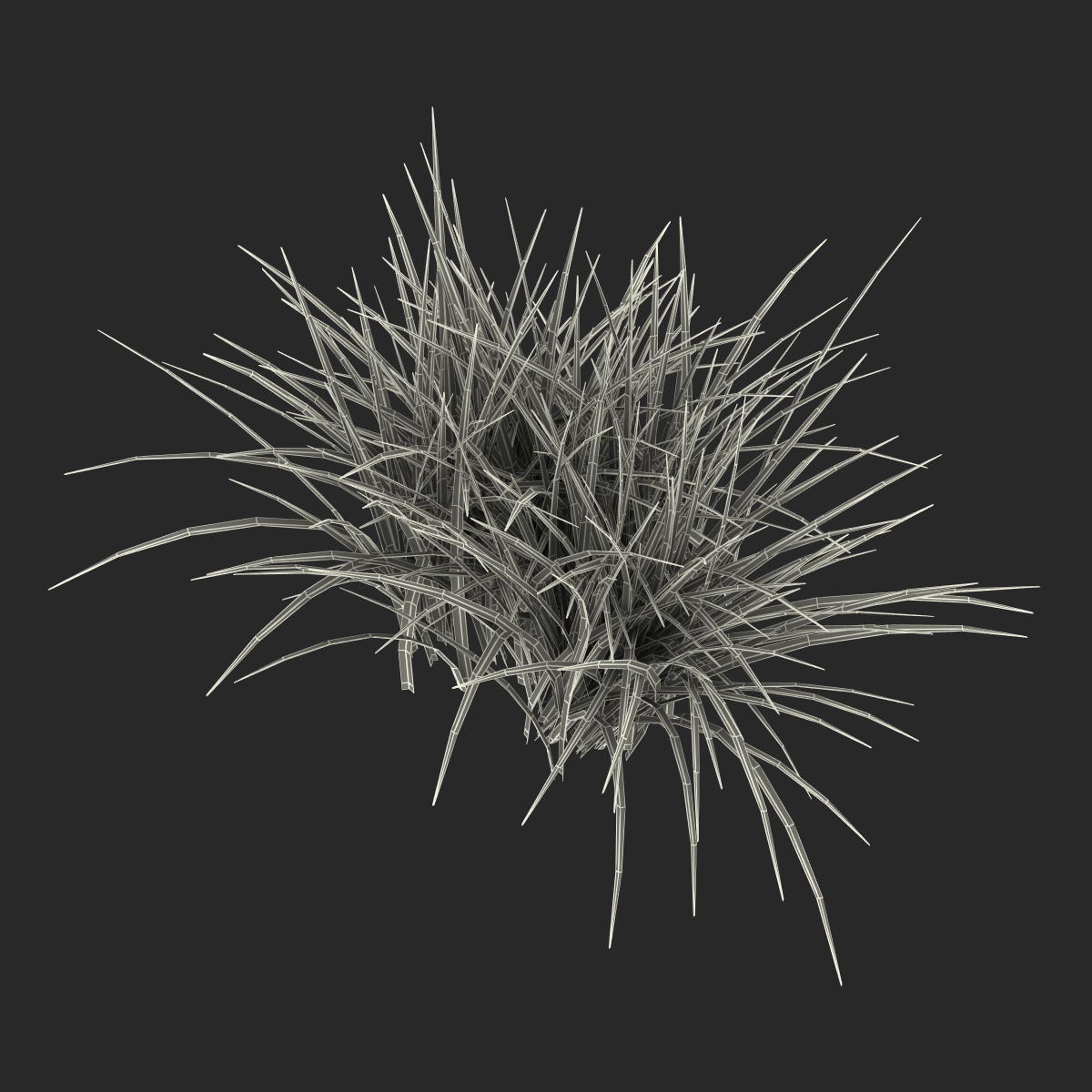 Grass 3D model