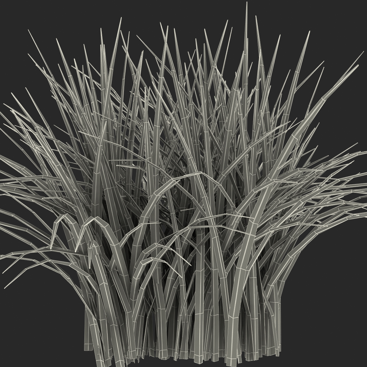 Grass 3D model