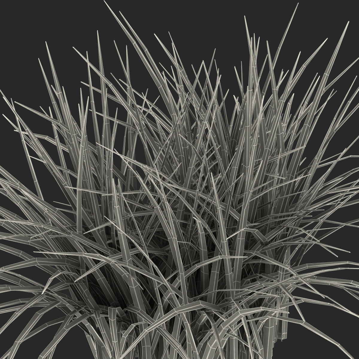 Grass 3D model