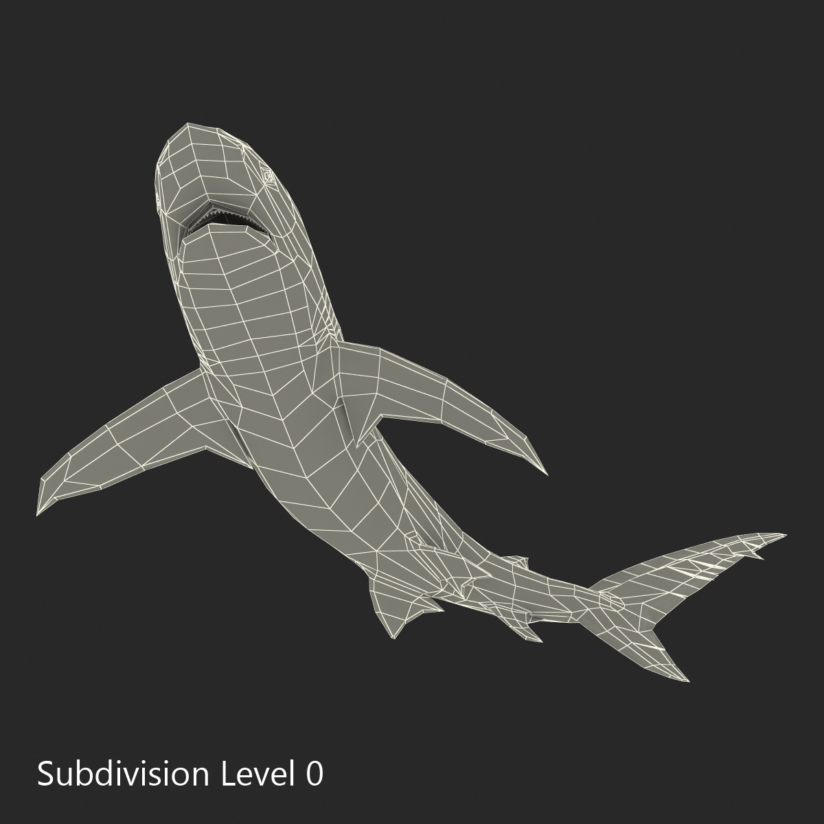 3D Dusky Shark Pose 2 model