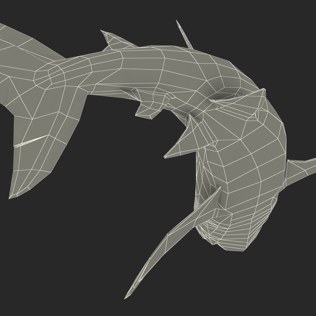 3D Dusky Shark Pose 2 model