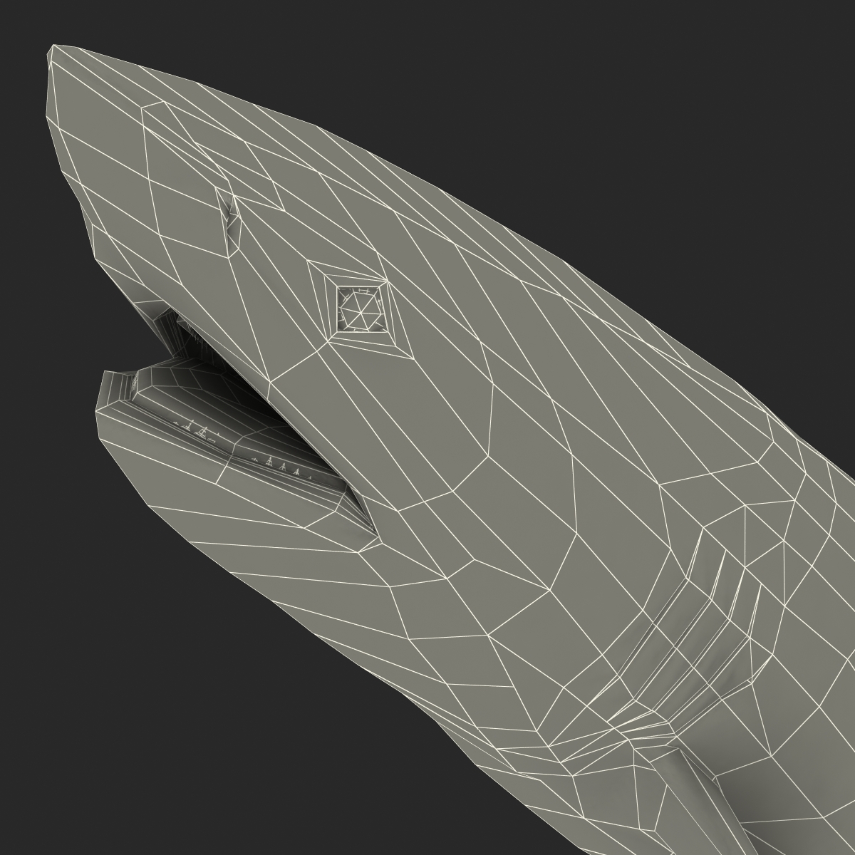 3D Dusky Shark Pose 2 model