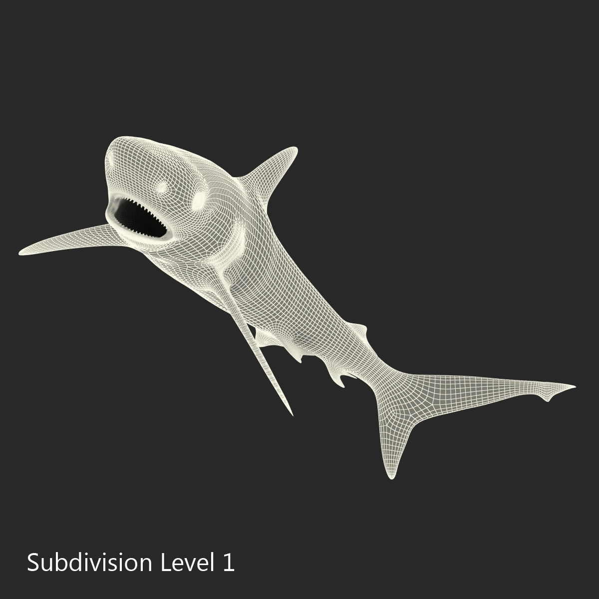 Grey Reef Shark Pose 2 3D