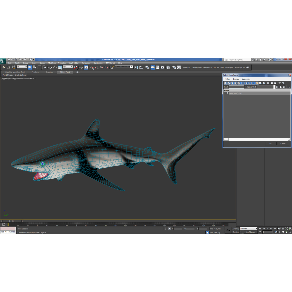 Grey Reef Shark Pose 2 3D