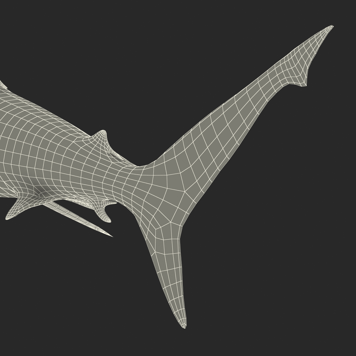 3D model Grey Reef Shark