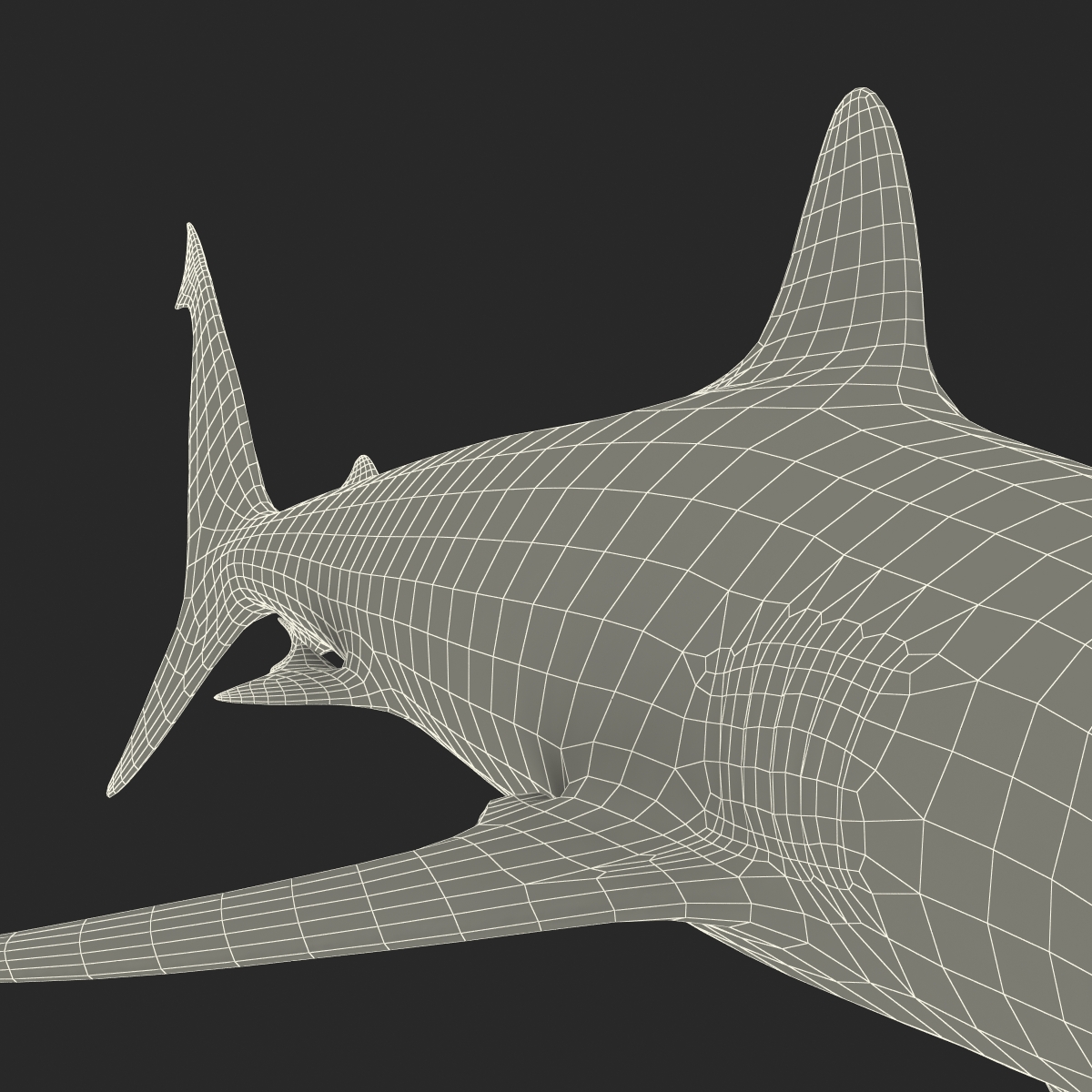 3D model Grey Reef Shark