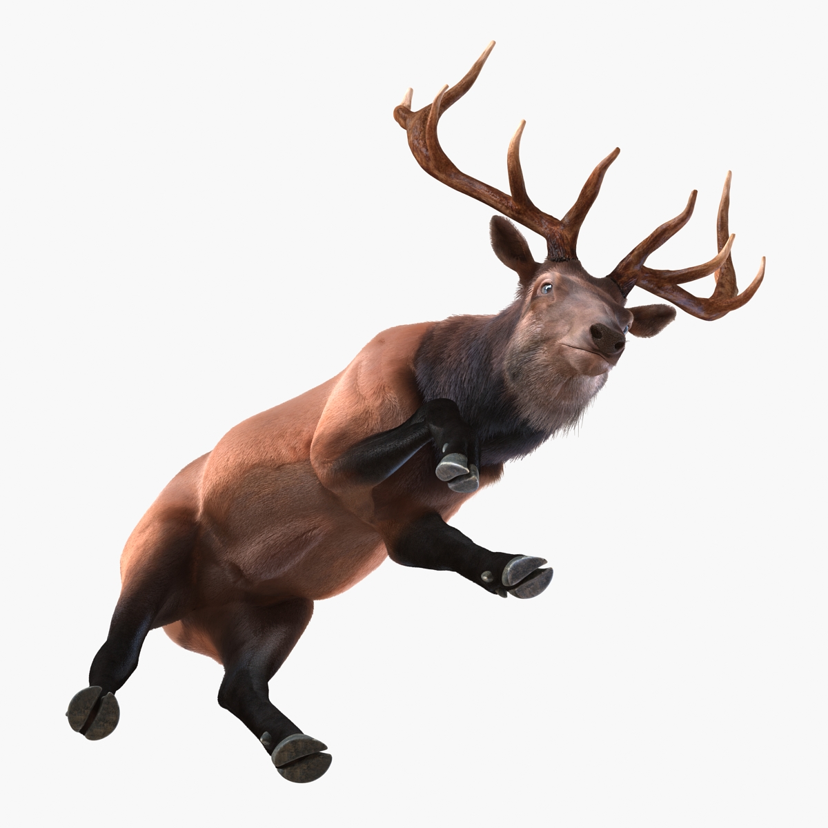 Elk Pose 3 with Fur 3D model