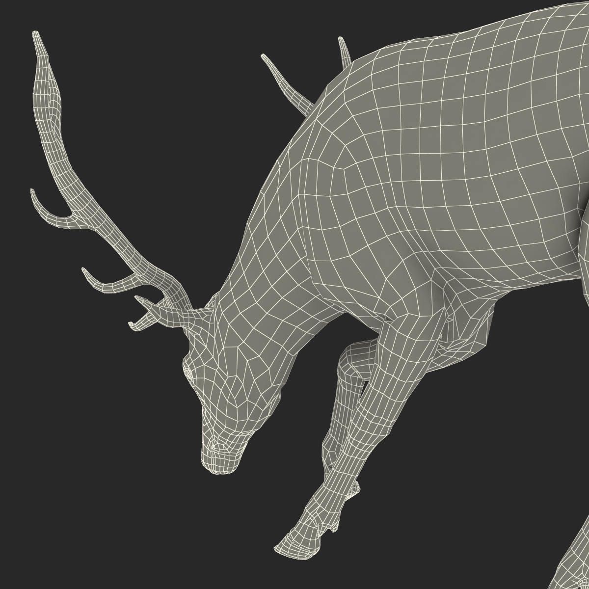 Elk Pose 3 with Fur 3D model