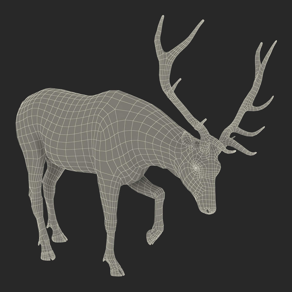 3D model Elk Pose 4