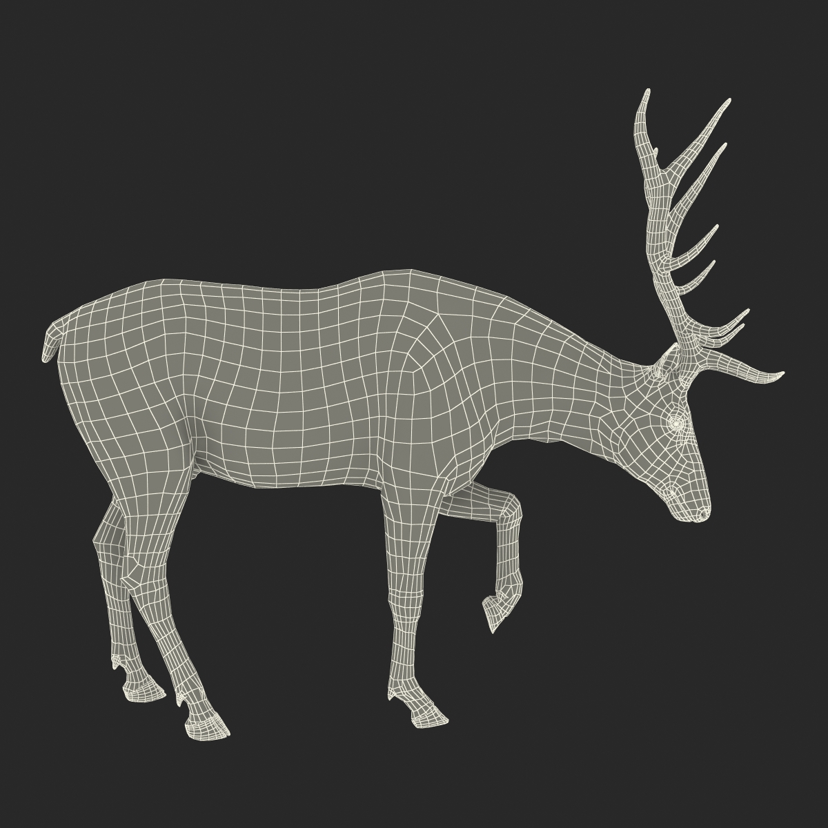 3D model Elk Pose 4