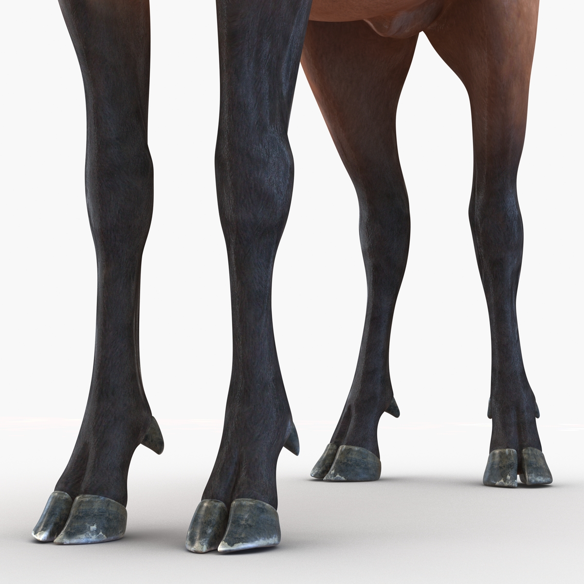 3D model Elk Rigged