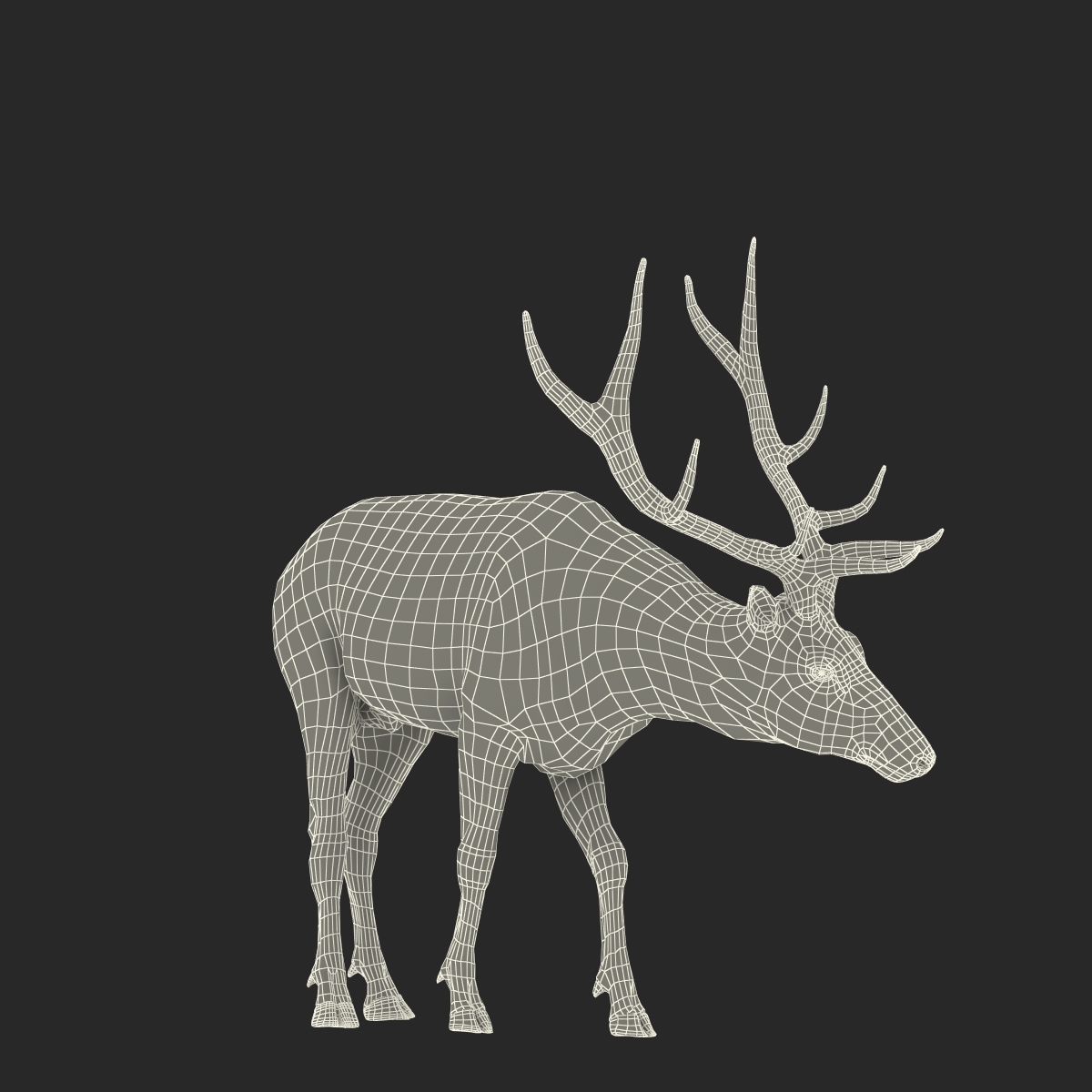 3D model Elk Rigged