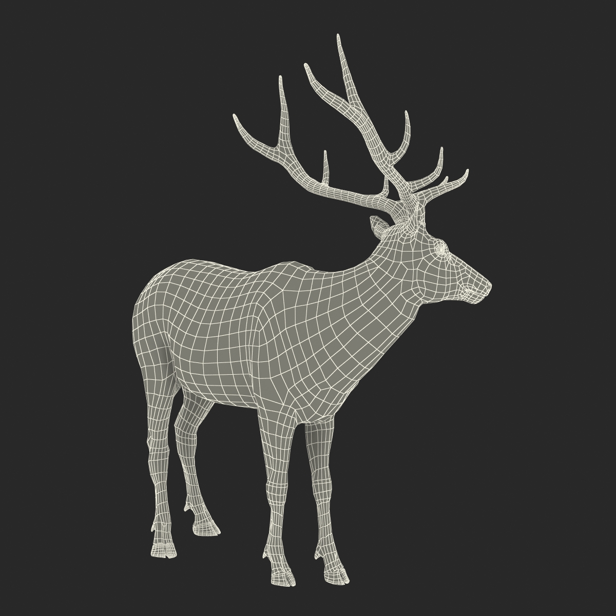 3D model Elk Rigged