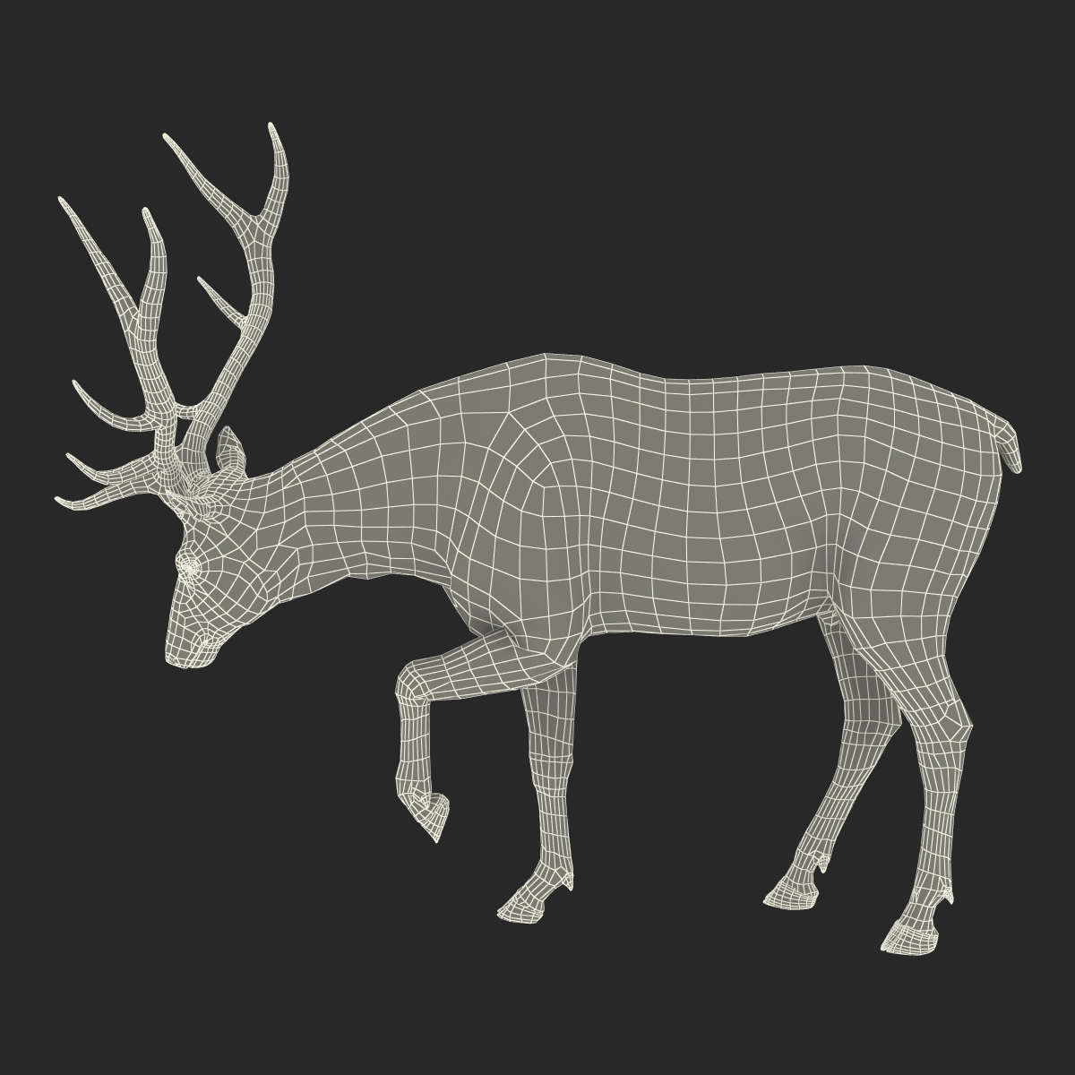 3D model Elk Rigged