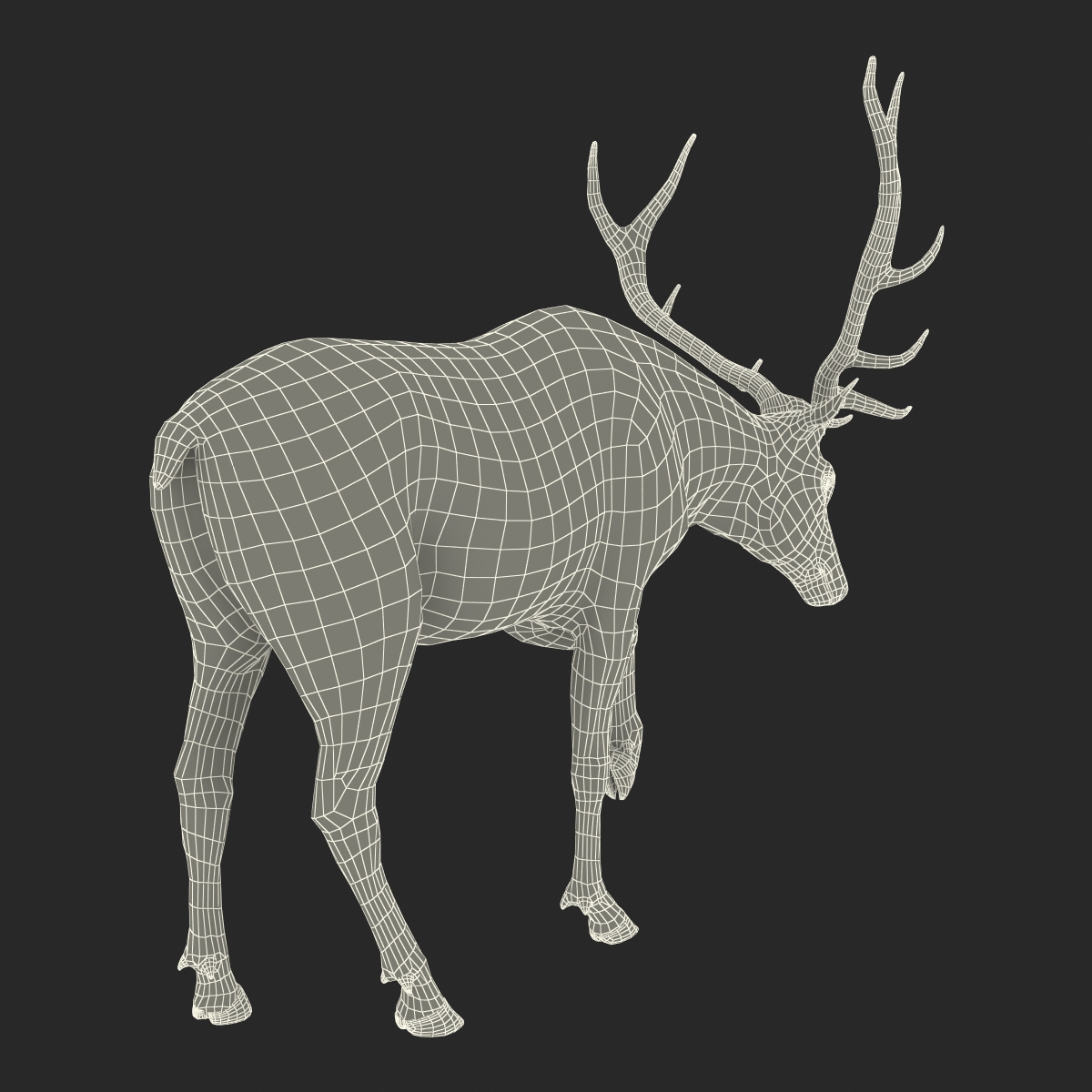 3D model Elk Rigged