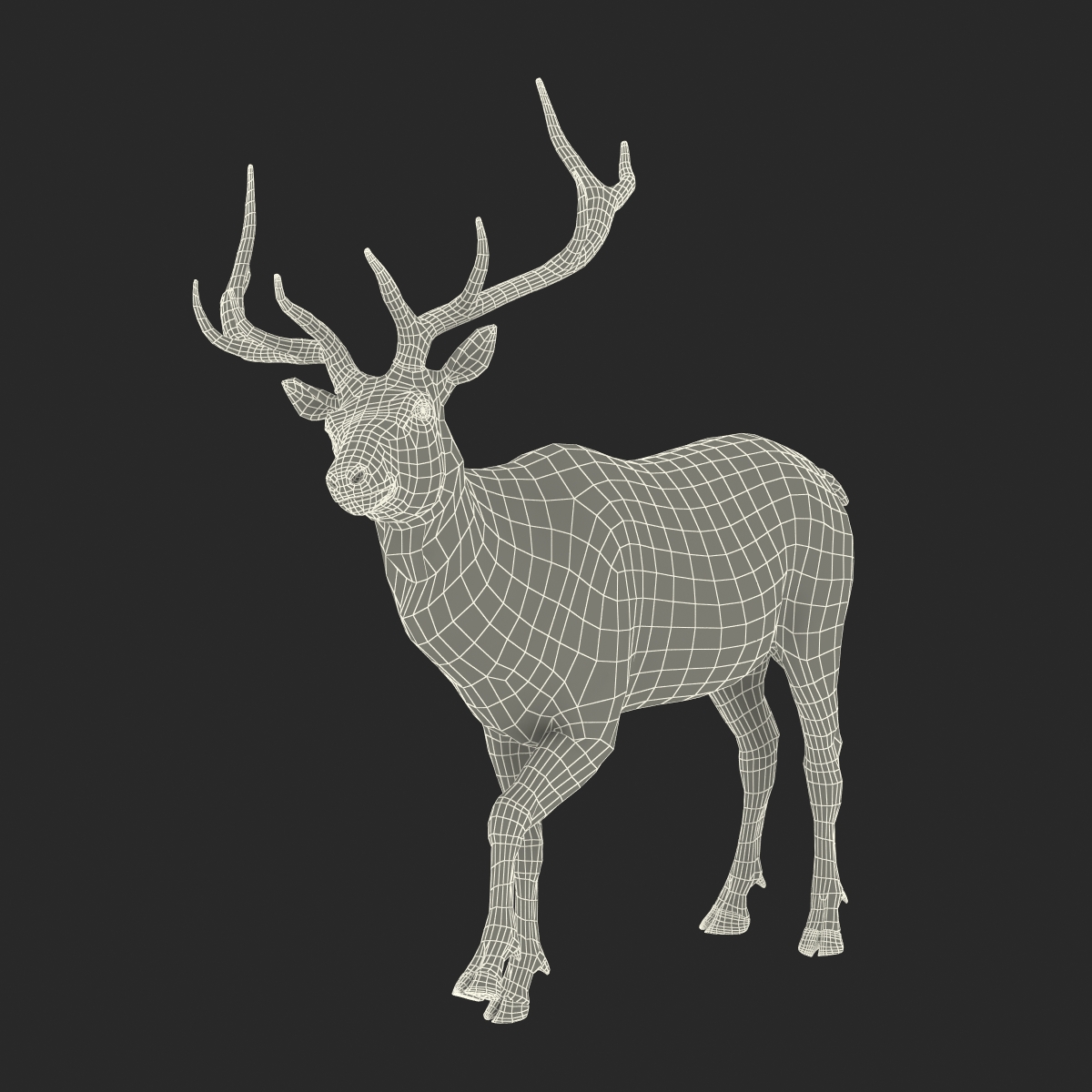 Elk Rigged with Fur 3D model