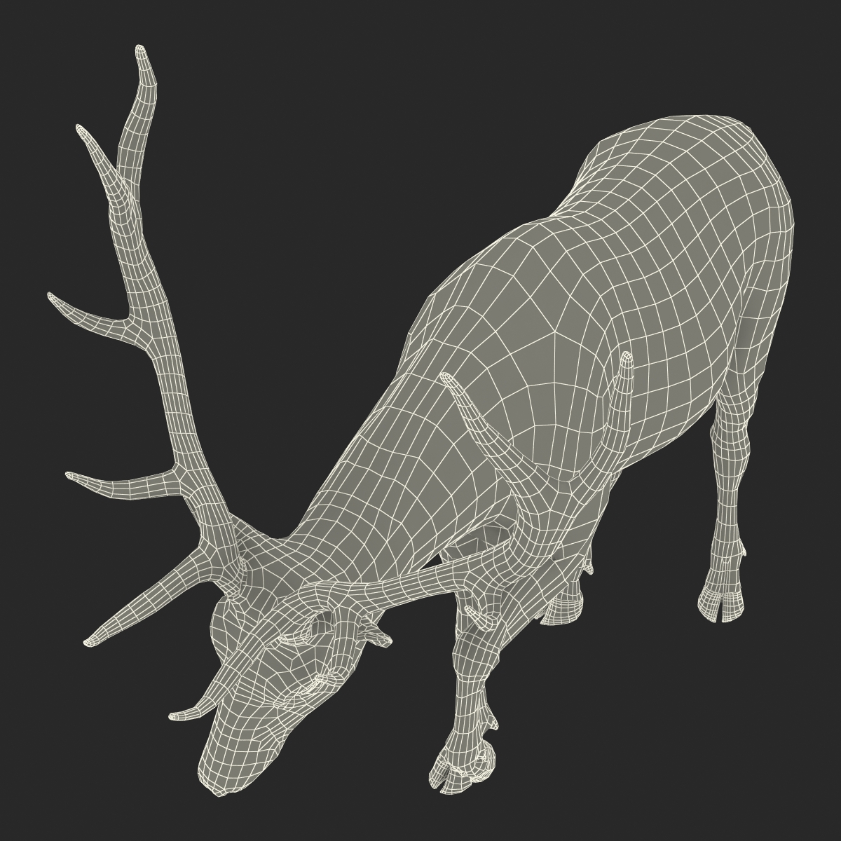 Elk Rigged with Fur 3D model