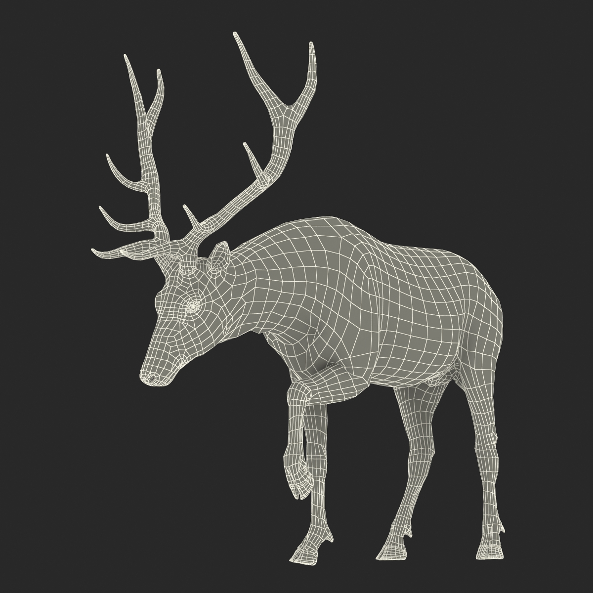 Elk Rigged with Fur 3D model