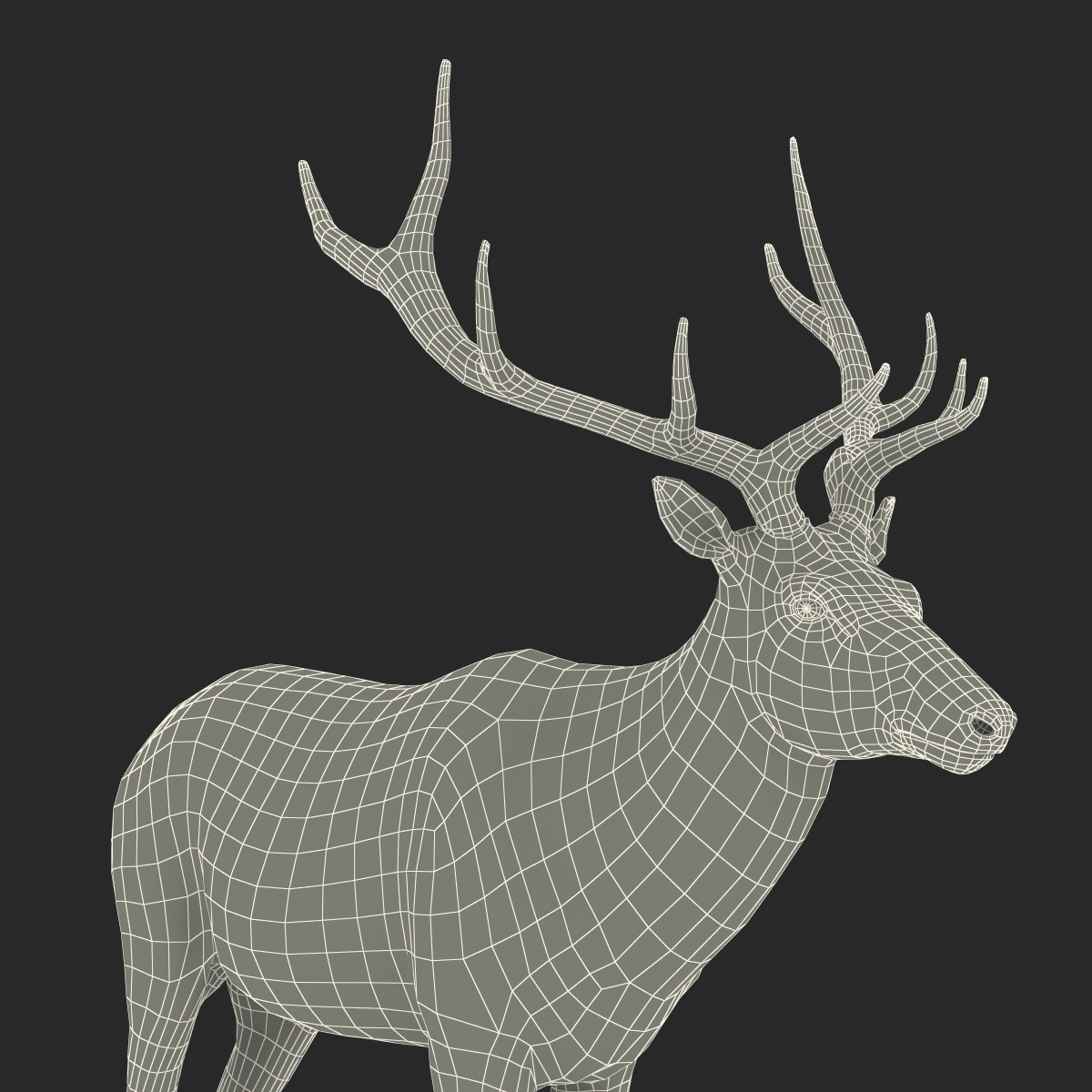 Elk Rigged with Fur 3D model