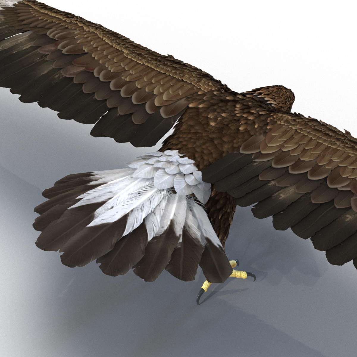 Golden Eagle Rigged 3D model