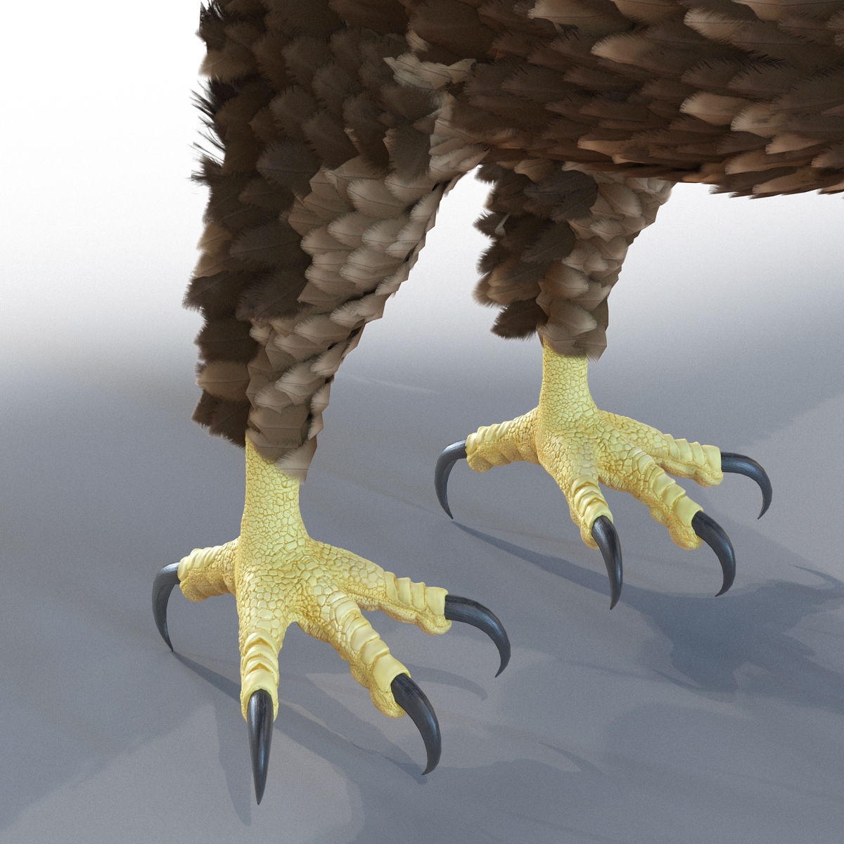 Golden Eagle Rigged 3D model