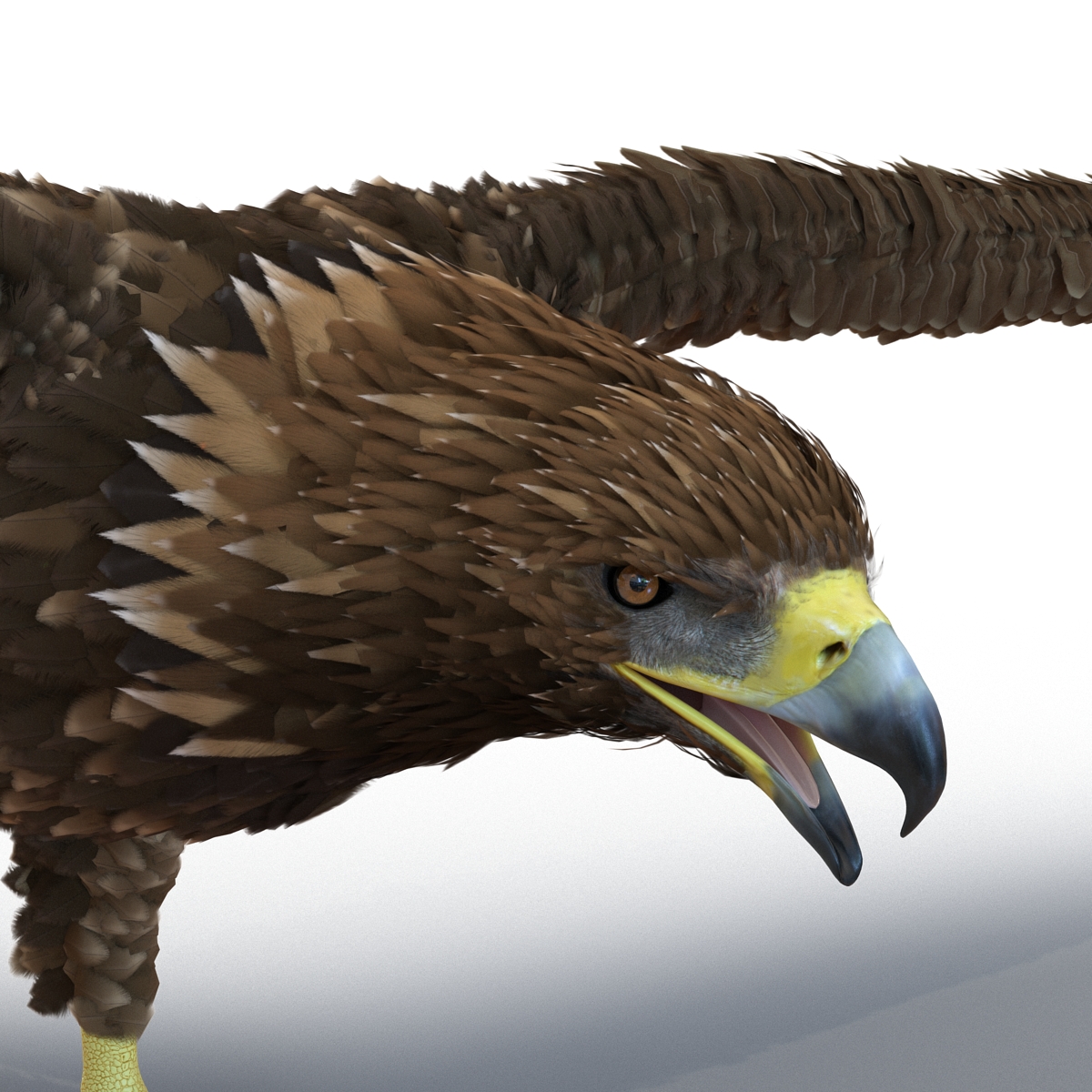 Golden Eagle Rigged 3D model