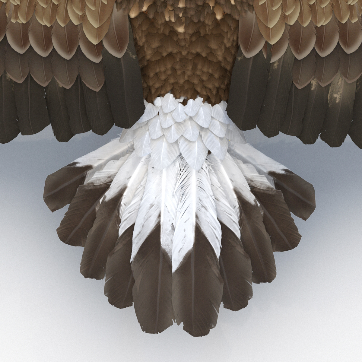 Golden Eagle Rigged 3D model