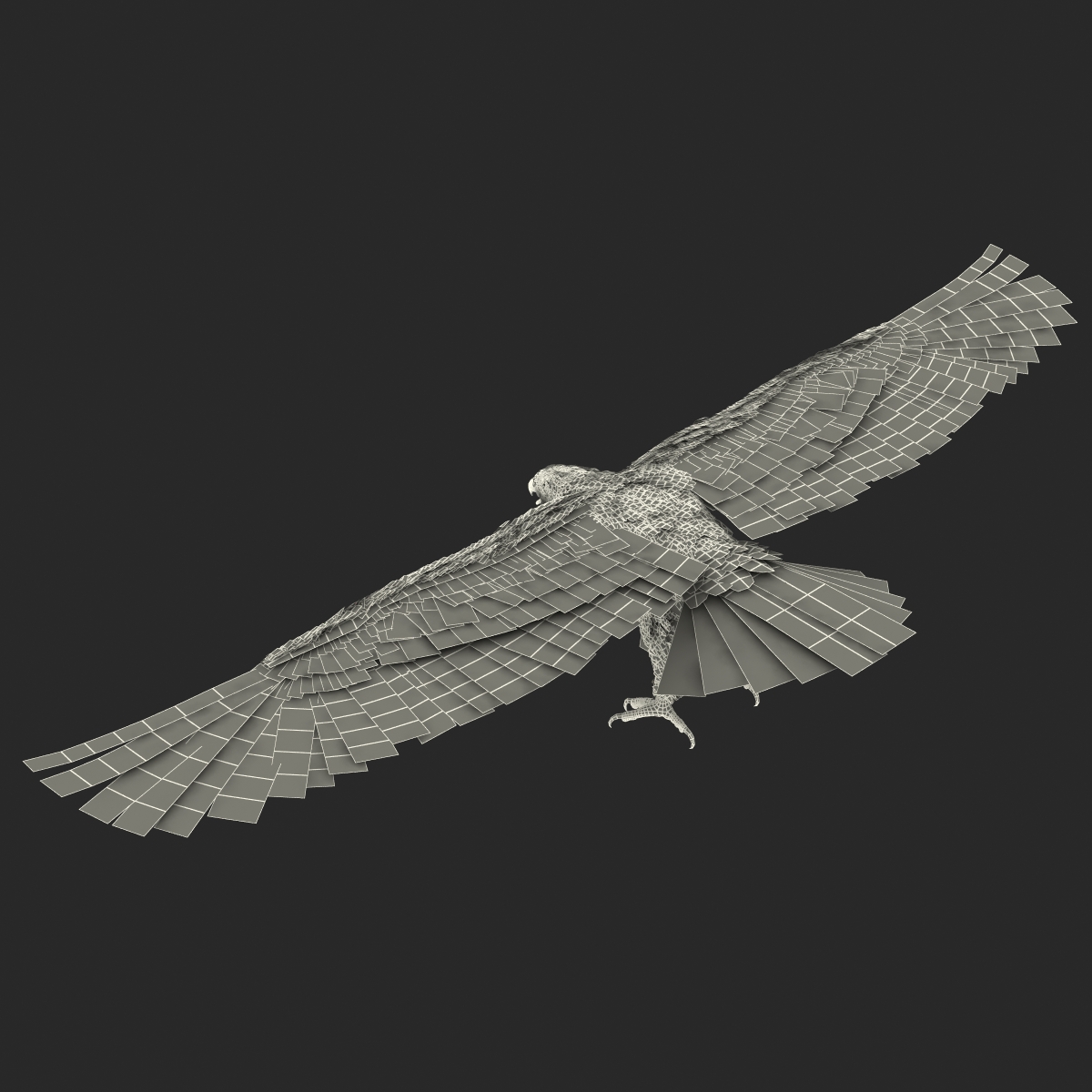 Golden Eagle Rigged 3D model