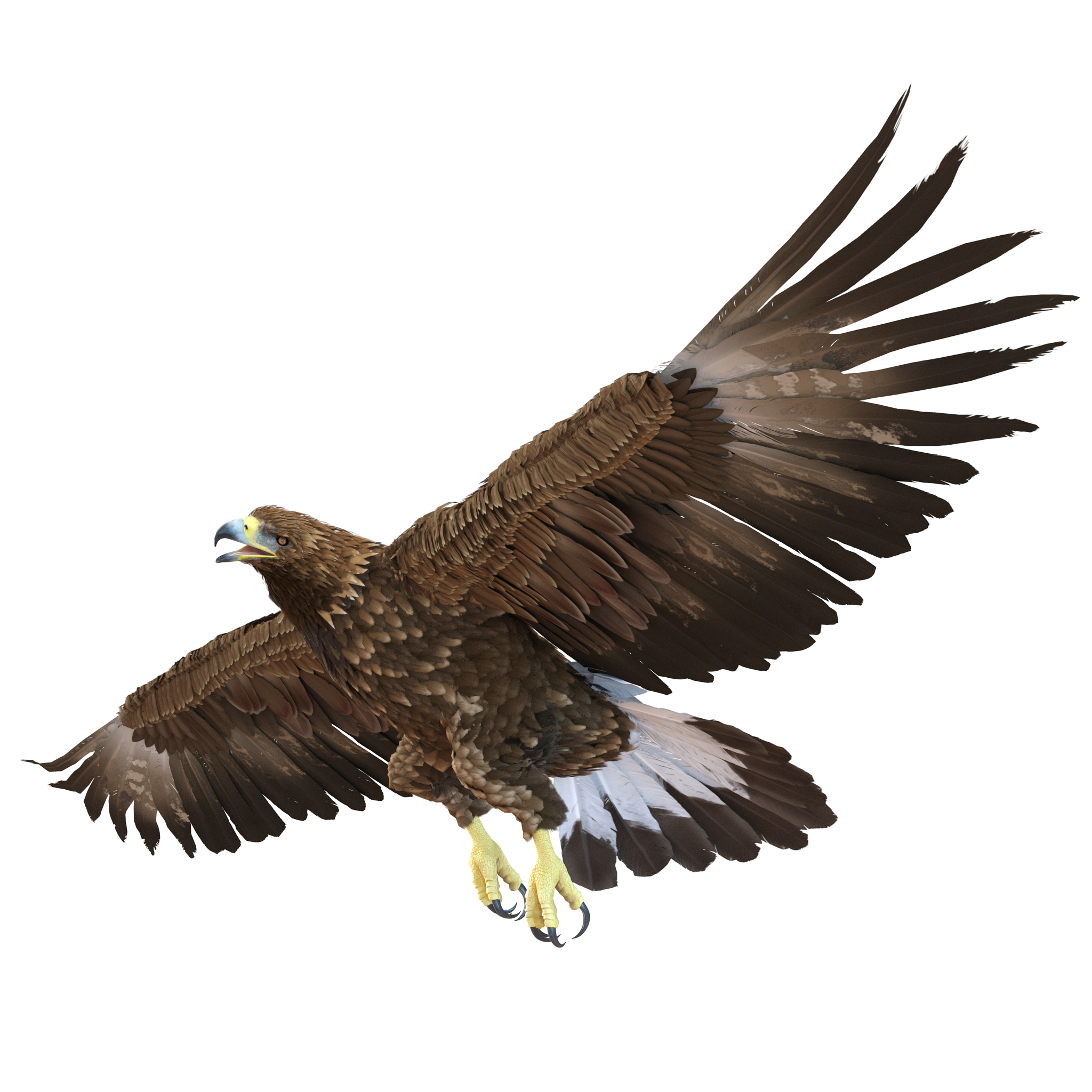 Golden Eagle Rigged 3D model