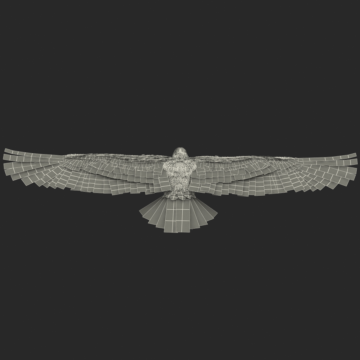 Gurney Eagle Rigged 3D model