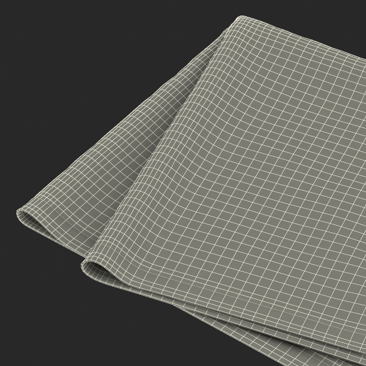 White Napkin 3D