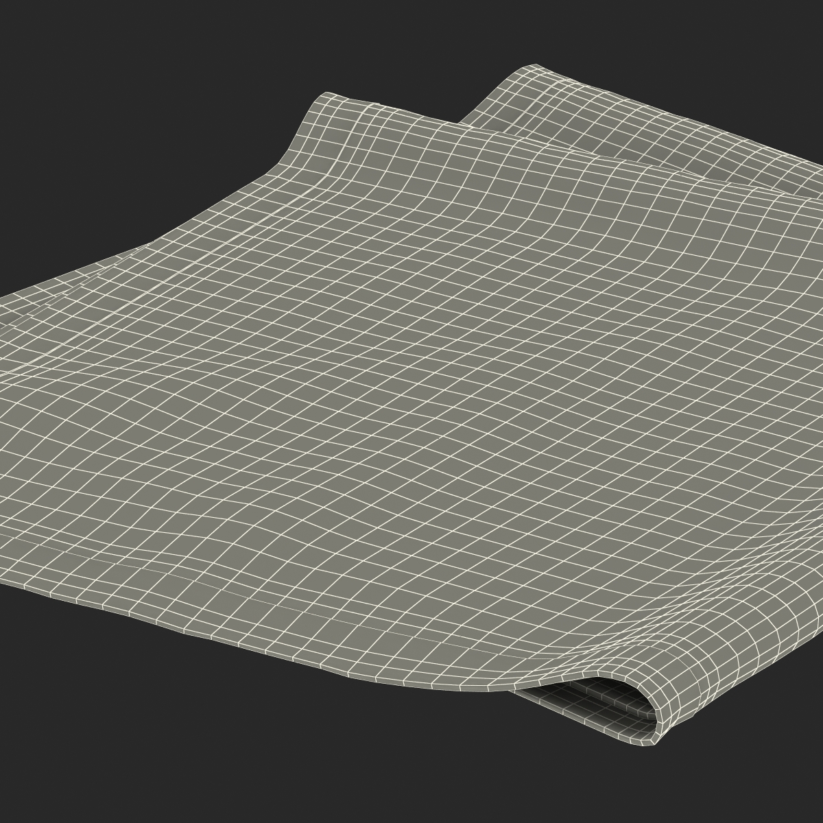 White Napkin 3D