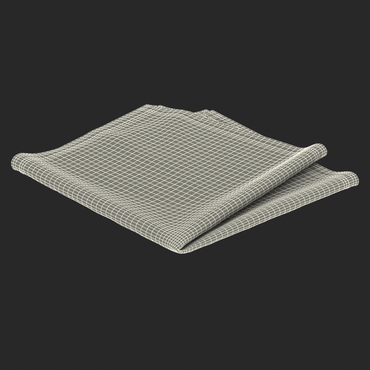 Black Napkin 3D