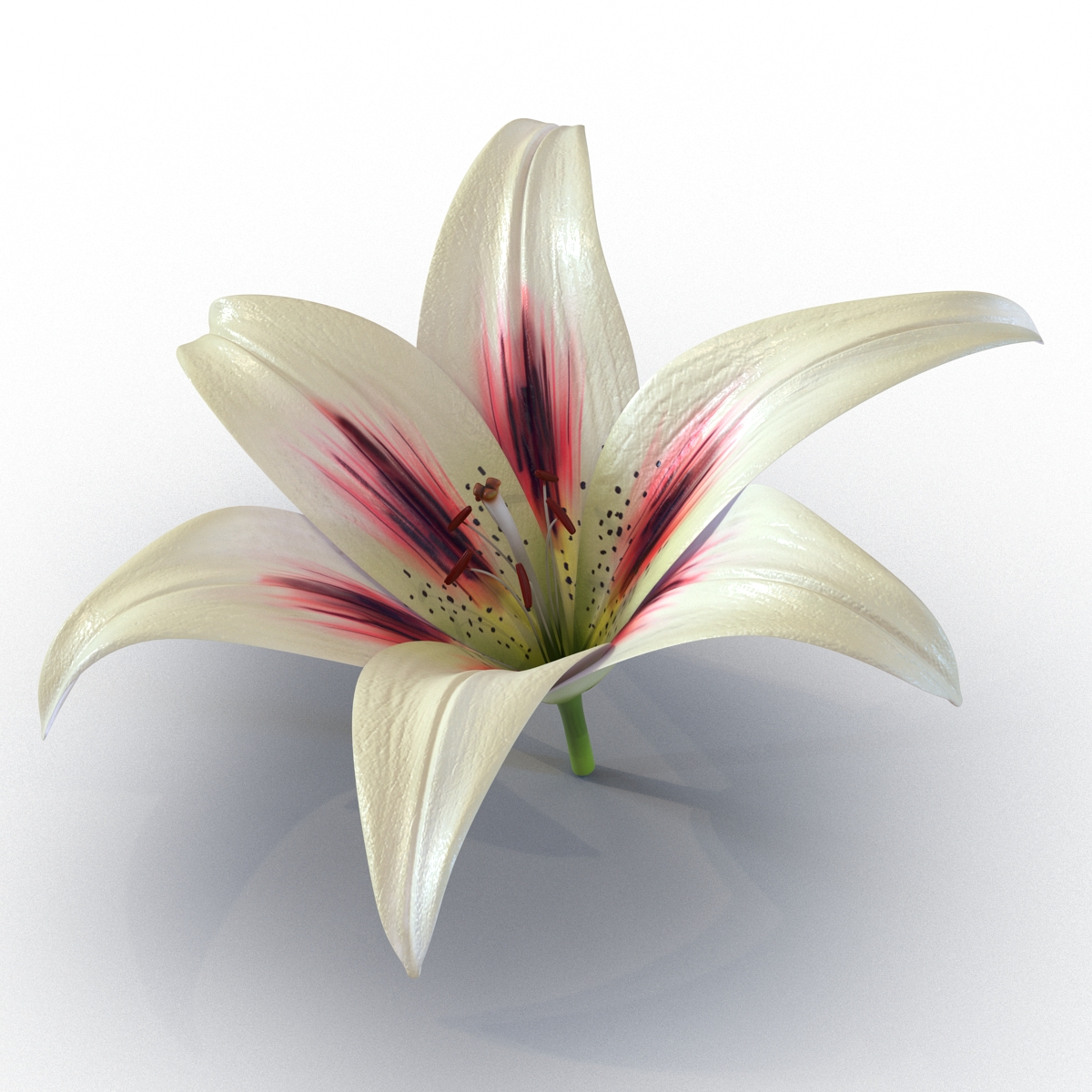 3D Lily Flower