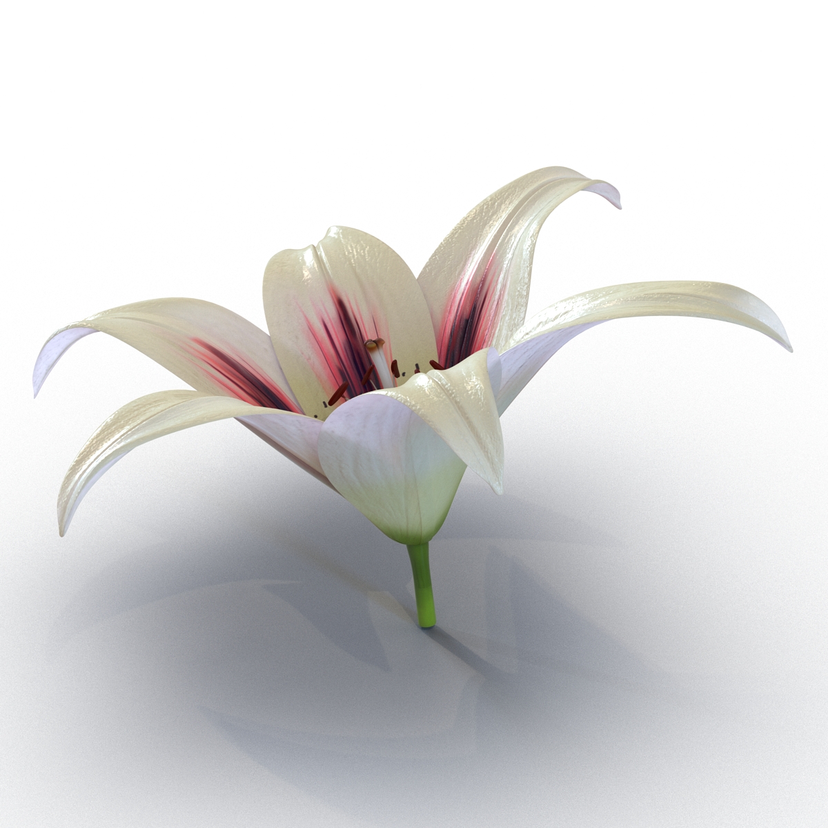 3D Lily Flower