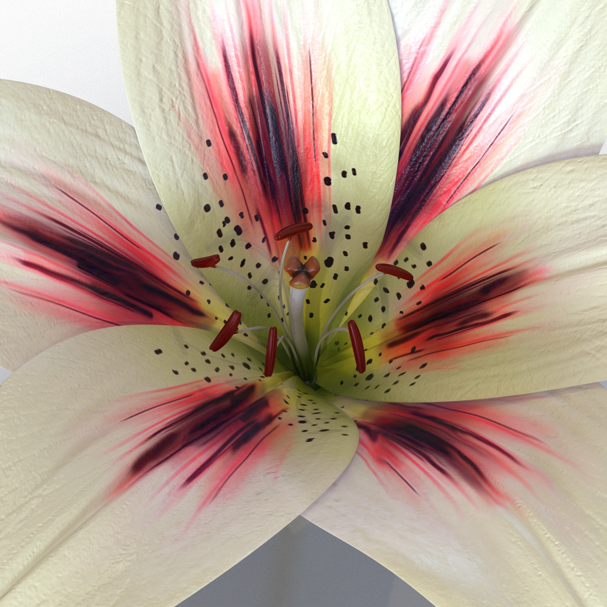 3D Lily Flower