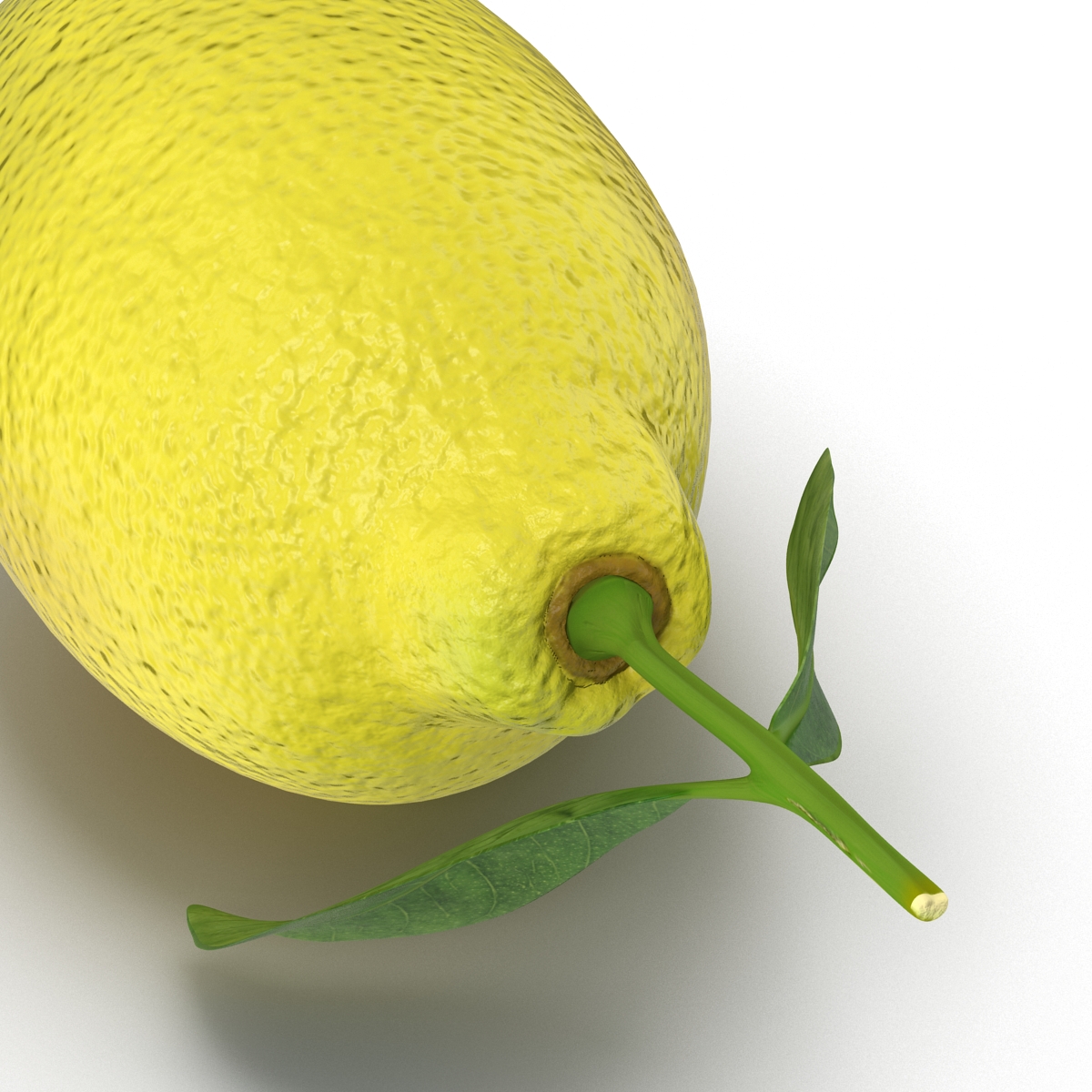 Lemon 2 3D model