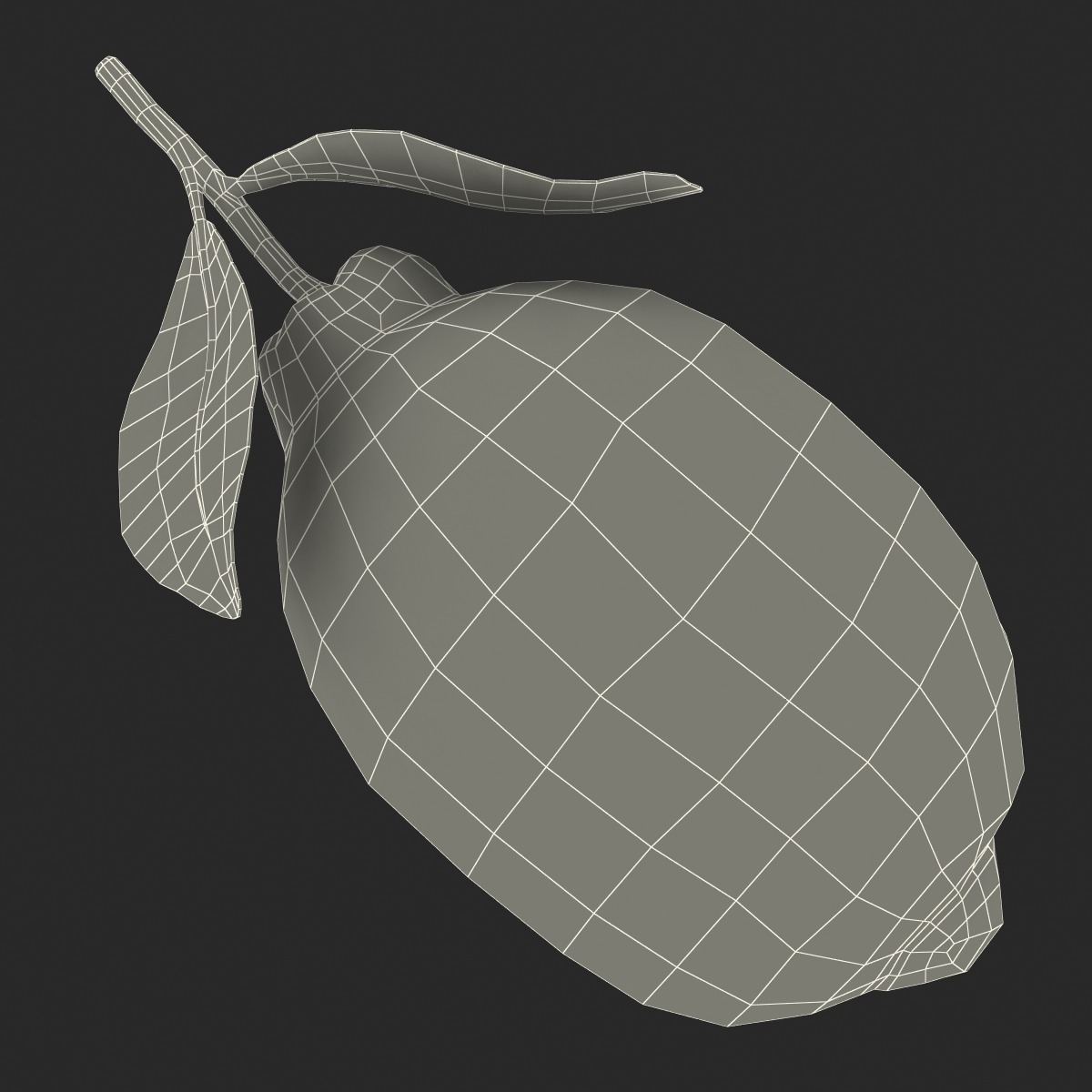 Lemon 2 3D model