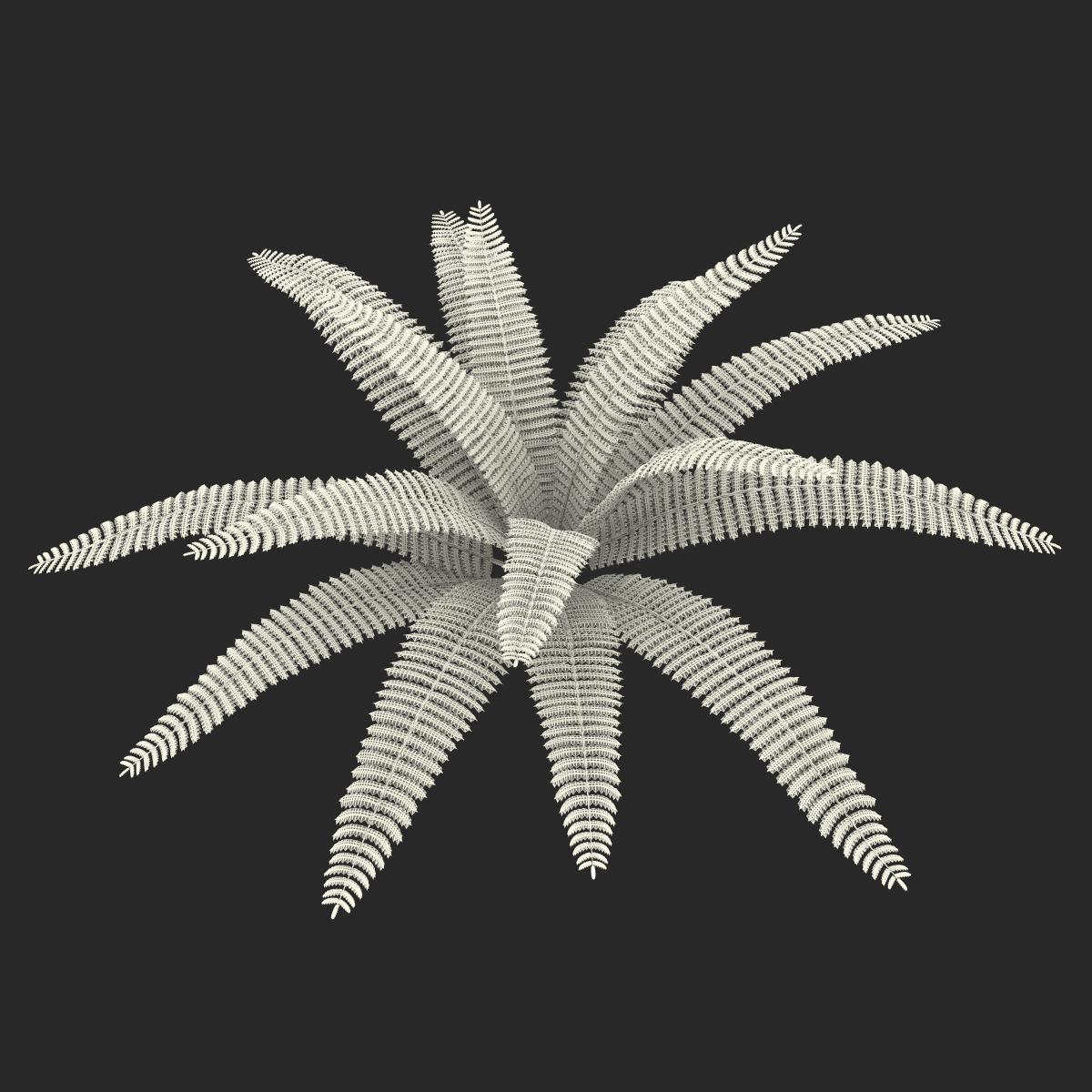 3D model Fern 3