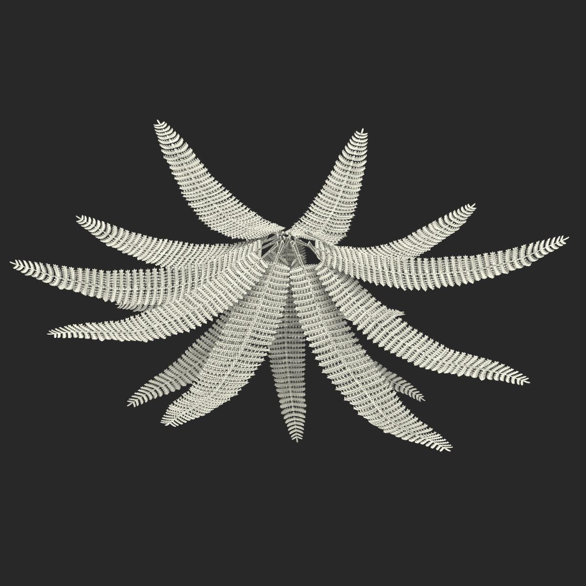 3D model Fern 3