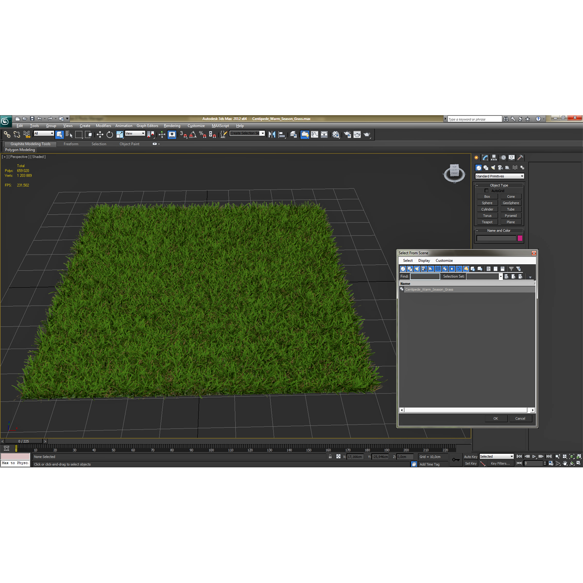 Centipede Warm Season Grass 3D