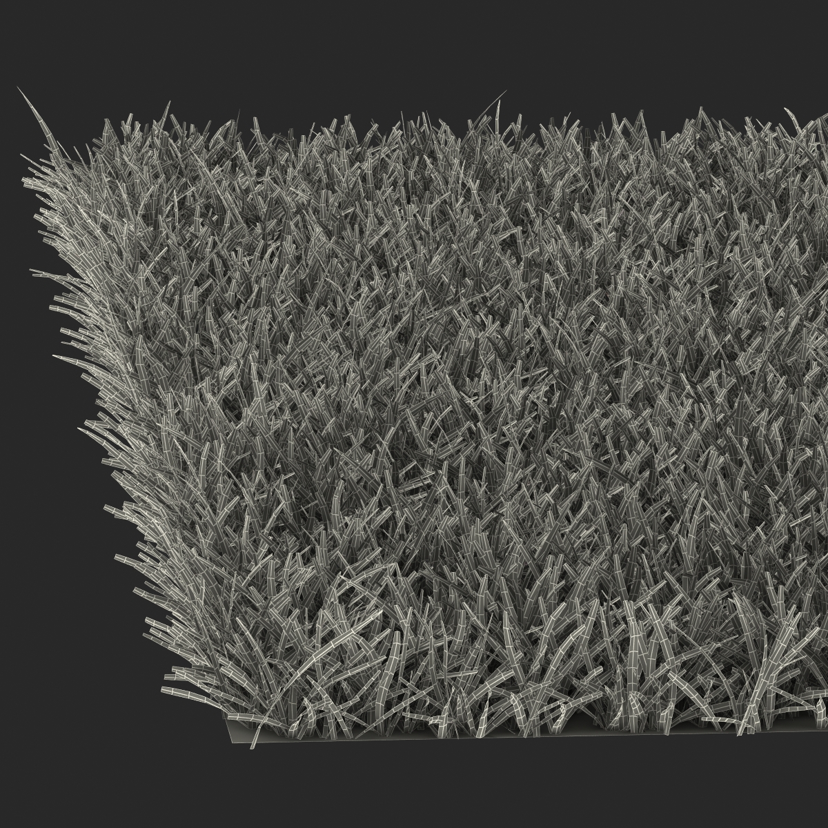 Centipede Warm Season Grass 3D