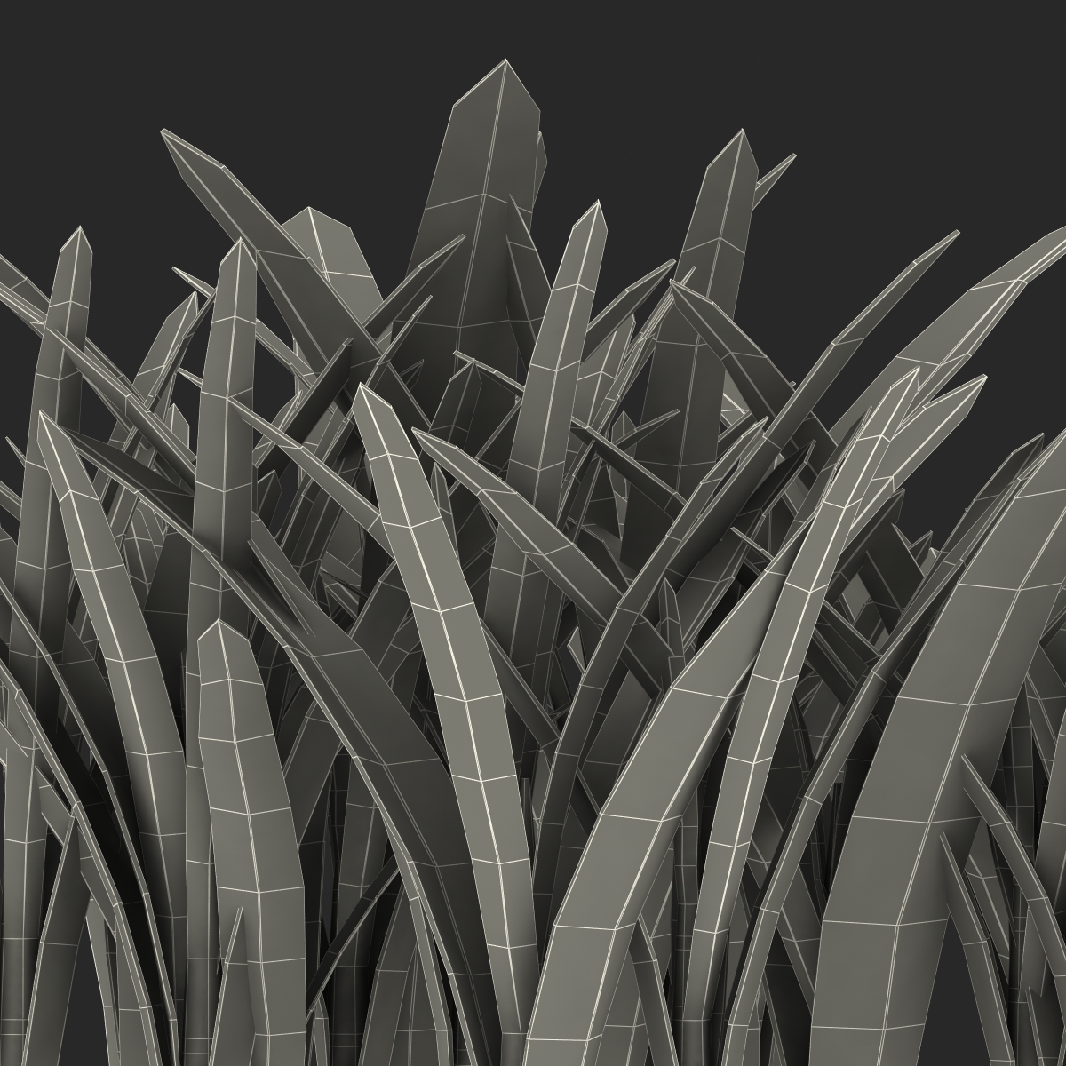 Grass 3 3D model