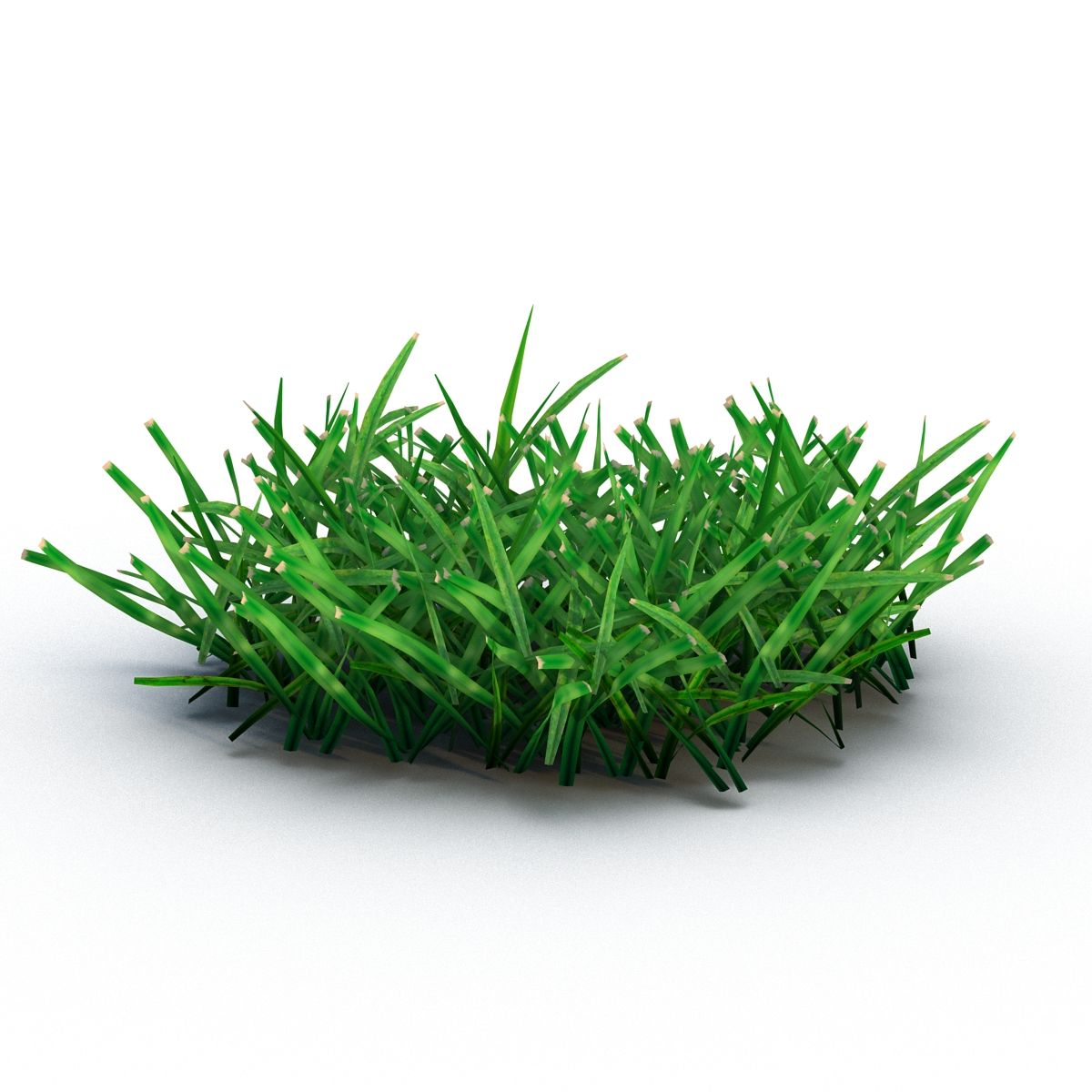 Grass 4 3D model