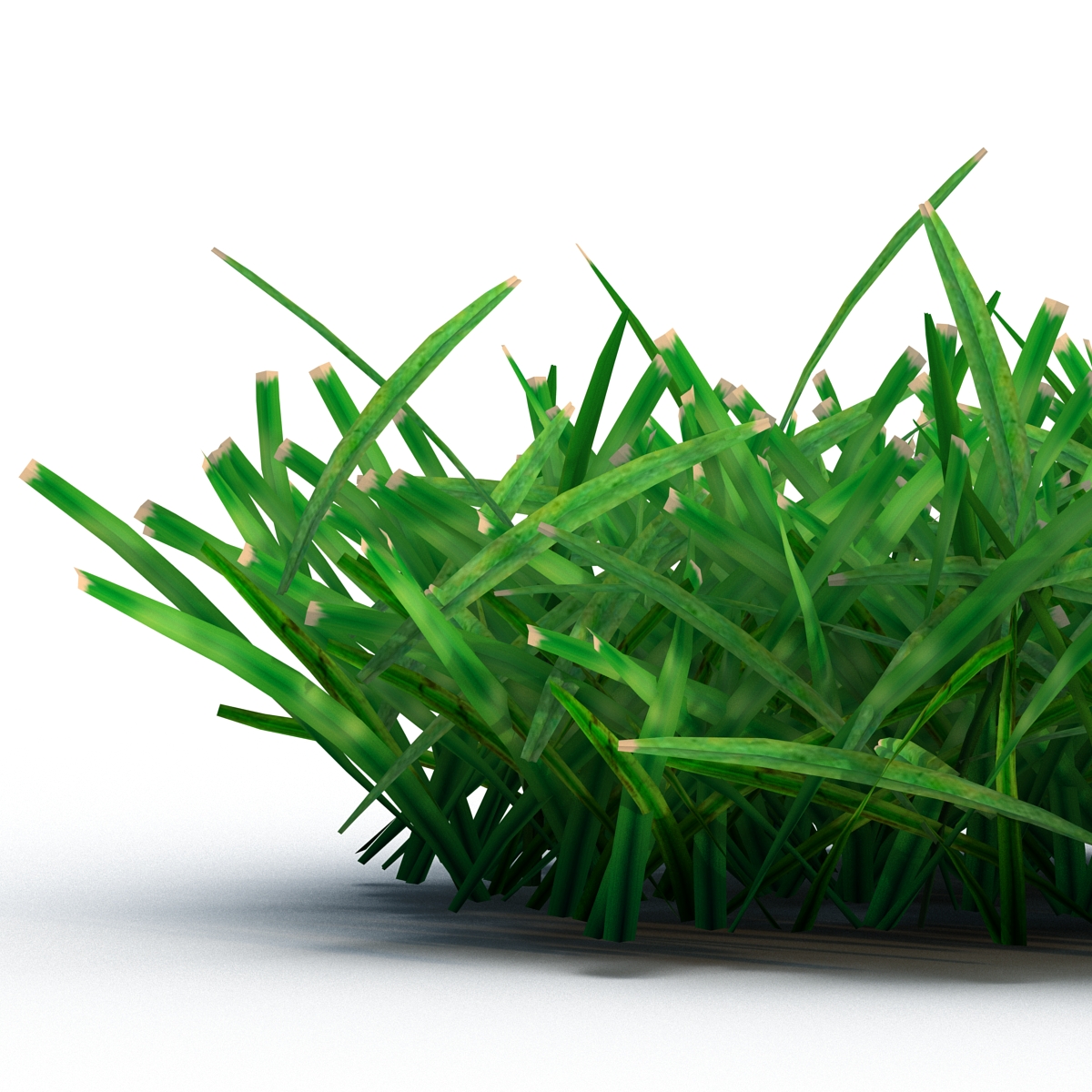 Grass 4 3D model