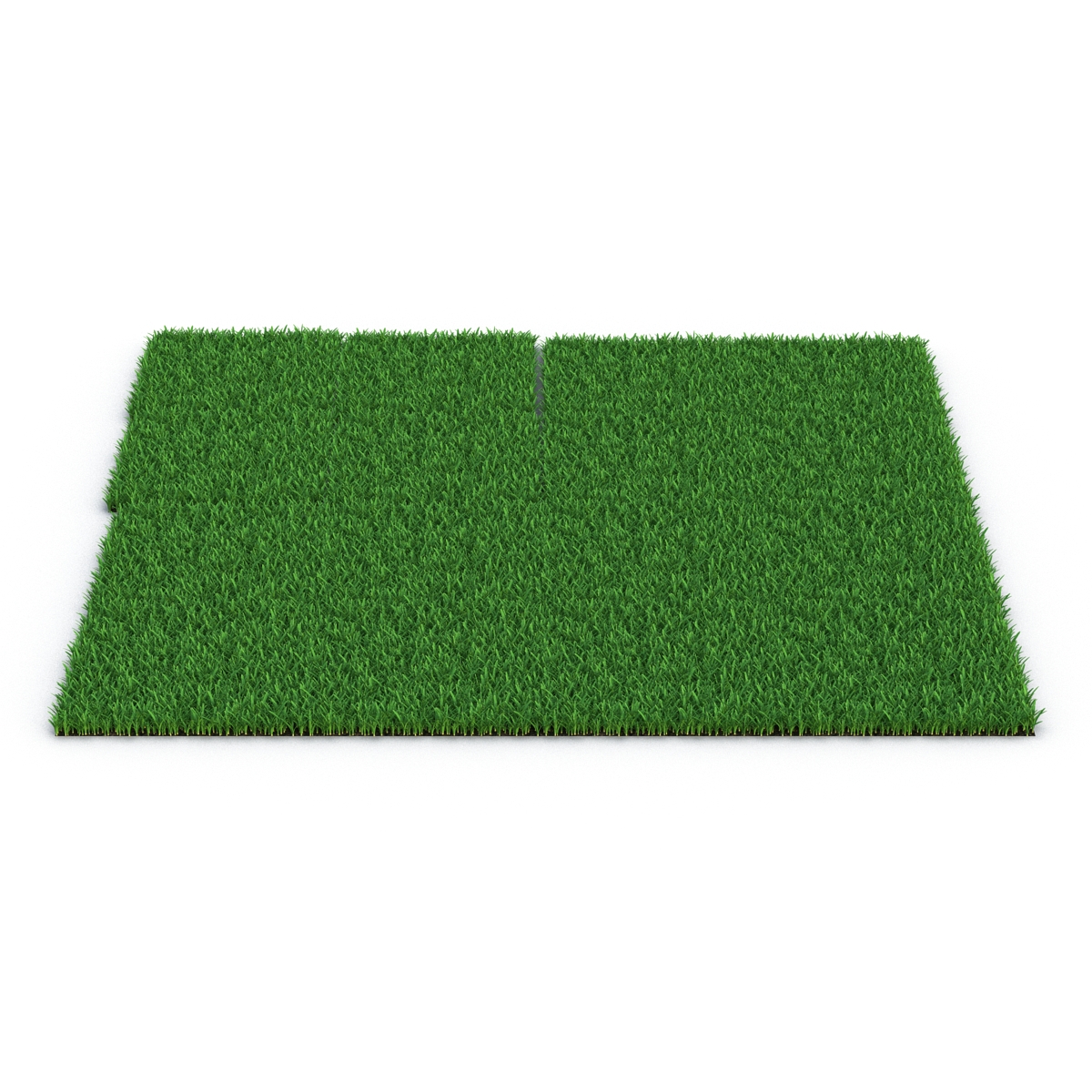 3D Saint Augustine Warm Season Grass model