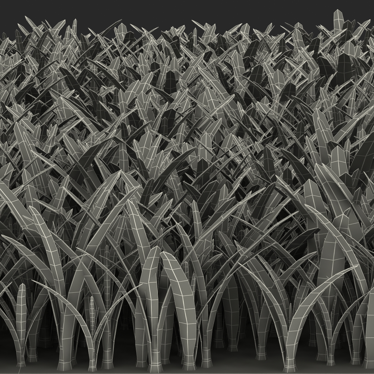 3D Saint Augustine Warm Season Grass model