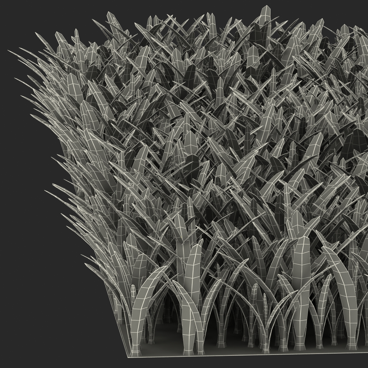 3D Saint Augustine Warm Season Grass model