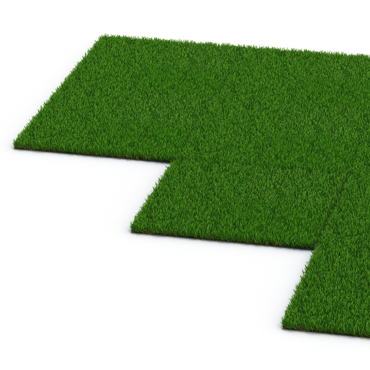 Zoysia Grass 3D